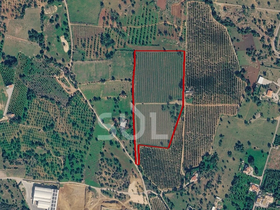 Terreno Agricola ou Rústico para Venda em Conceição e Estoi Foto 1