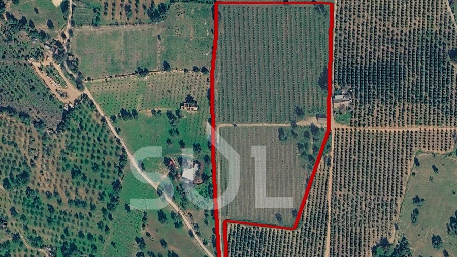 Terreno Agricola ou Rústico para Venda em Conceição e Estoi
