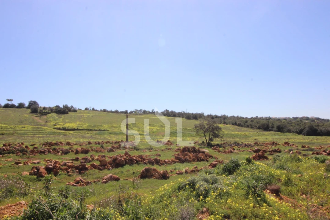 Terreno Agricola ou Rústico para Venda em Loule (São Clemente) Foto 5