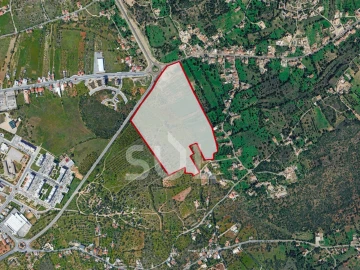 Terreno Agricola ou Rústico para Venda em Loule (São Clemente)