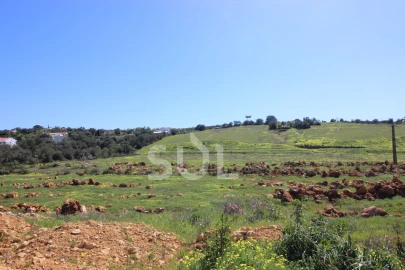 Terreno Agricola ou Rústico para Venda em Loule (São Clemente)