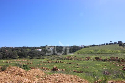 Terreno Agricola ou Rústico para Venda em Loule (São Clemente)