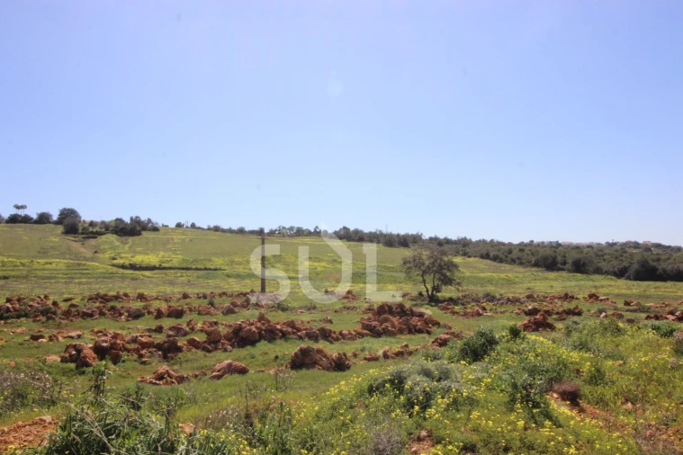 Terreno Agricola ou Rústico para Venda em Loule (São Clemente) Foto 5