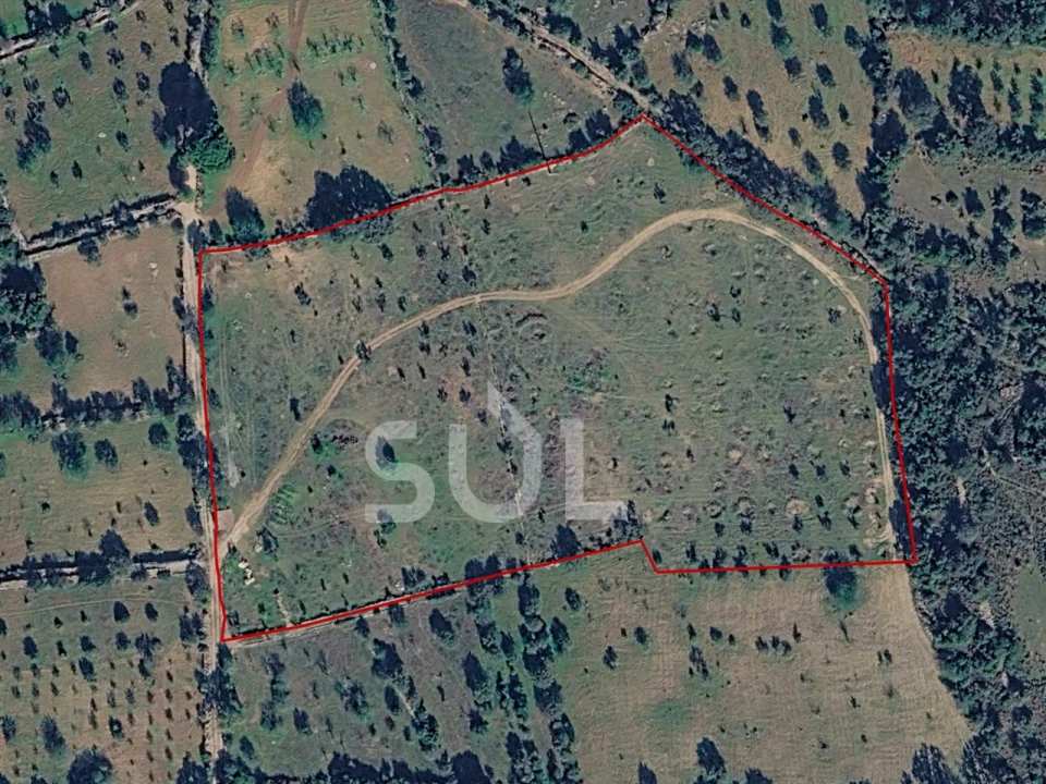 Terreno Agricola ou Rústico para Venda em Conceição e Estoi Foto 1