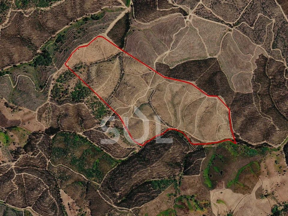 Terreno Agricola ou Rústico para Venda em São Martinho das Amoreiras Foto 1