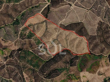 Terreno Agricola ou Rústico para Venda em São Martinho das Amoreiras