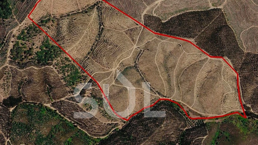 Terreno Agricola ou Rústico para Venda em São Martinho das Amoreiras