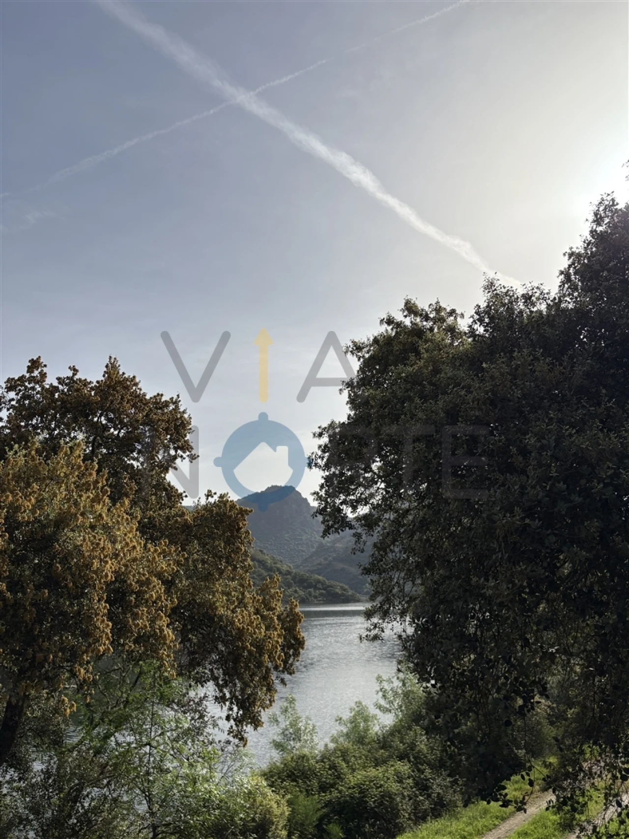 Terreno Agricola ou Rústico para Venda em Vilar Chão Foto 6