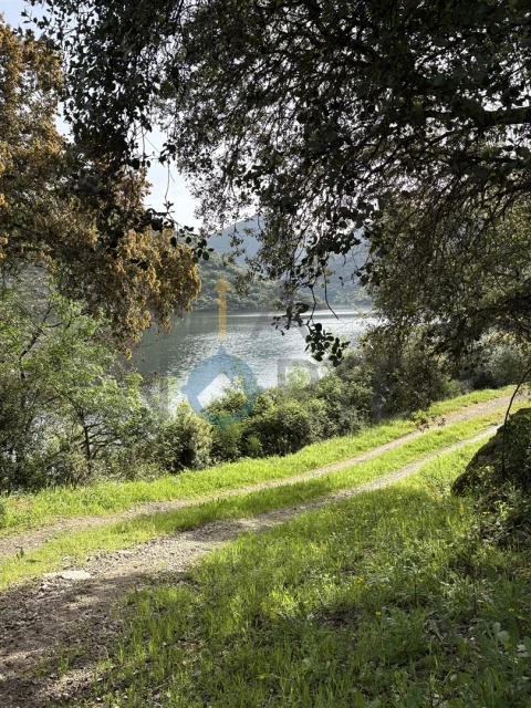 Terreno Agricola ou Rústico para Venda em Vilar Chão