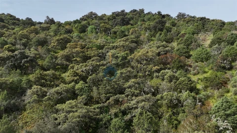 Terreno Agricola ou Rústico para Venda em Vilar Chão