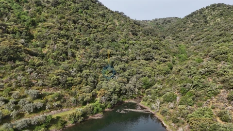 Terreno Agricola ou Rústico para Venda em Vilar Chão