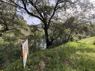 Terreno Agricola ou Rústico para Venda em Vilar Chão