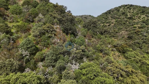 Terreno Agricola ou Rústico para Venda em Vilar Chão