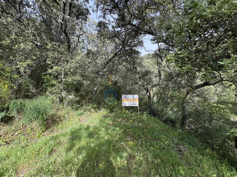 Terreno Agricola ou Rústico para Venda em Vilar Chão Foto 8