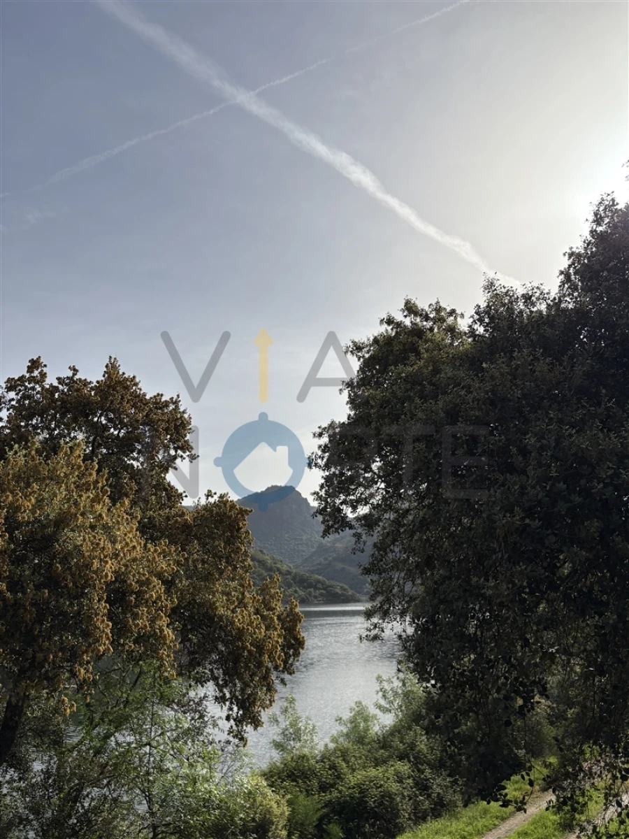 Terreno Agricola ou Rústico para Venda em Vilar Chão Foto 6