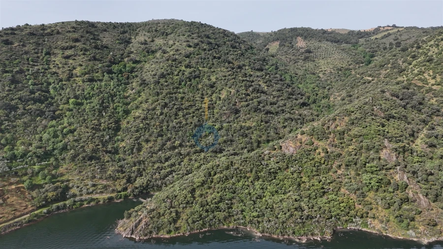 Terreno Agricola ou Rústico para Venda em Vilar Chão Foto 3