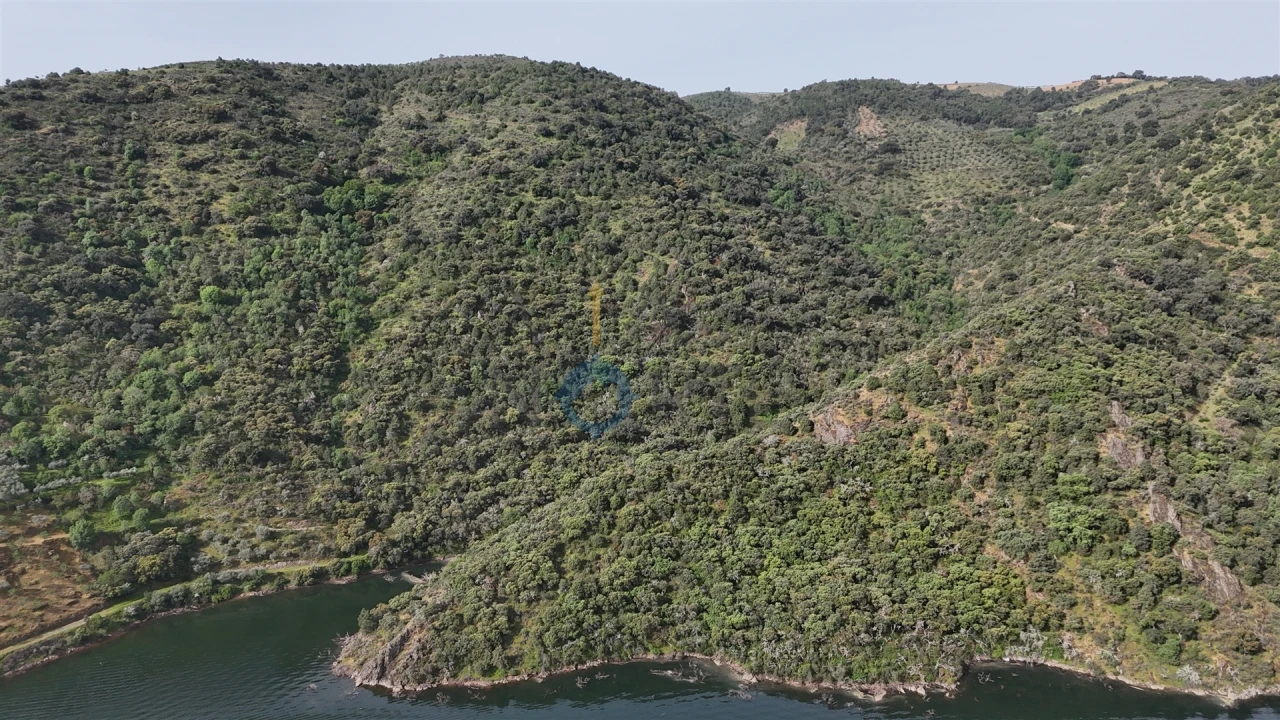 Terreno Agricola ou Rústico para Venda em Vilar Chão Foto 3