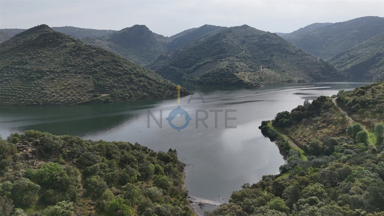 Terreno Agricola ou Rústico para Venda em Vilar Chão Foto 1