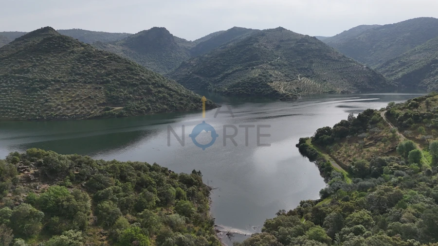 Terreno Agricola ou Rústico para Venda em Vilar Chão