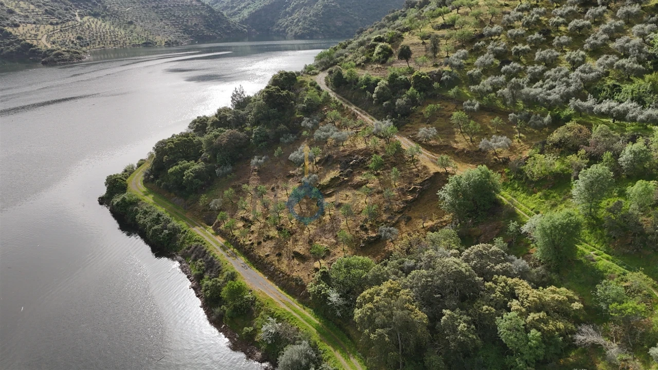 Terreno Agricola ou Rústico para Venda em Vilar Chão Foto 2