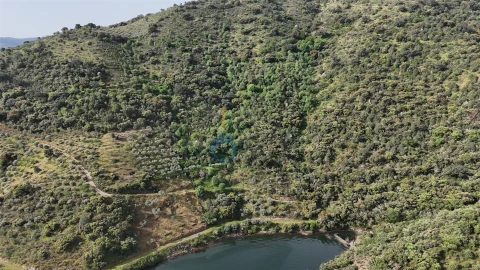 Terreno Agricola ou Rústico para Venda em Vilar Chão