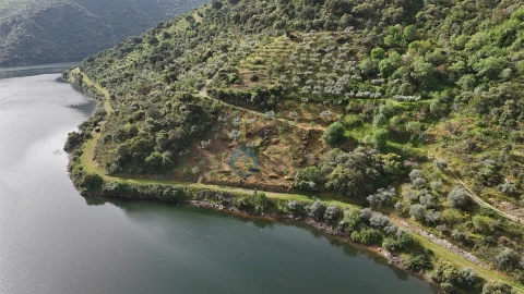 Terreno Agricola ou Rústico para Venda em Vilar Chão