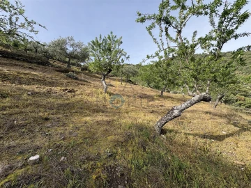 Terreno Agricola ou Rústico para Venda em Vilar Chão