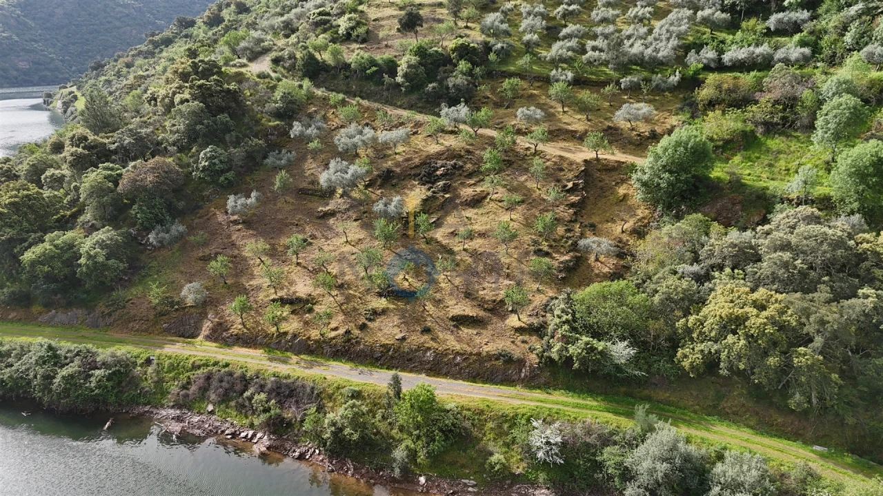 Terreno Agricola ou Rústico para Venda em Vilar Chão Foto 5