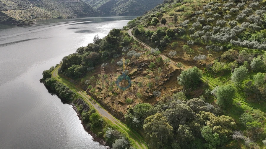 Terreno Agricola ou Rústico para Venda em Vilar Chão Foto 2