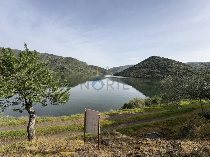 Terreno Agricola ou Rústico para Venda em Vilar Chão