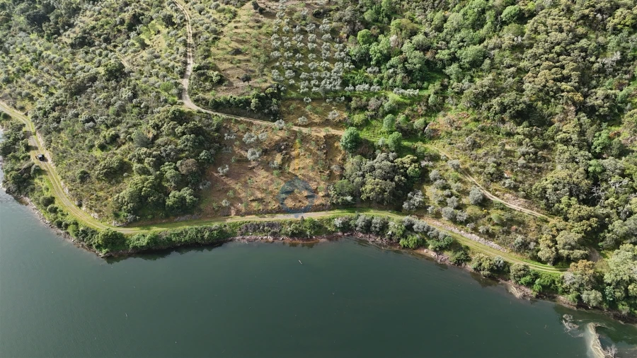 Terreno Agricola ou Rústico para Venda em Vilar Chão Foto 4
