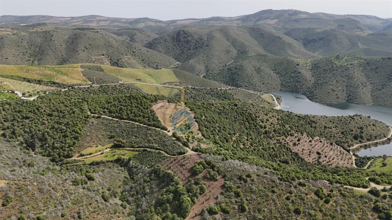 Terreno Agricola ou Rústico para Venda em Adeganha e Cardanha Foto 11