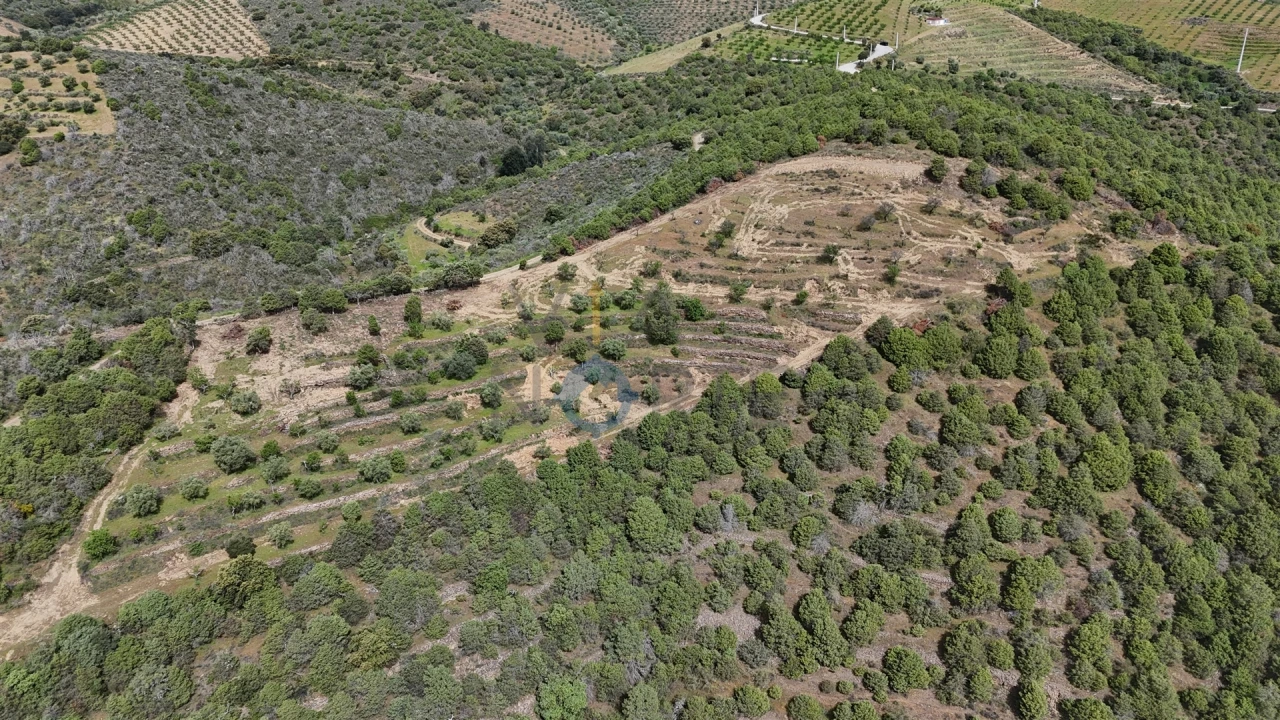Terreno Agricola ou Rústico para Venda em Adeganha e Cardanha Foto 2