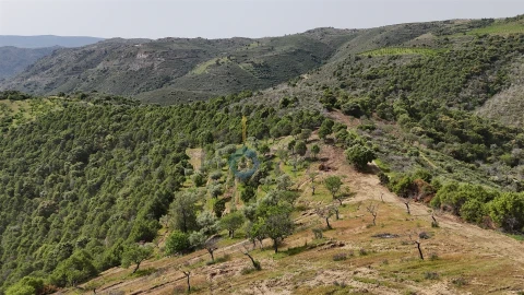 Terreno Agricola ou Rústico para Venda em Adeganha e Cardanha