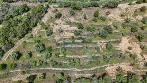 Terreno Agricola ou Rústico para Venda em Adeganha e Cardanha