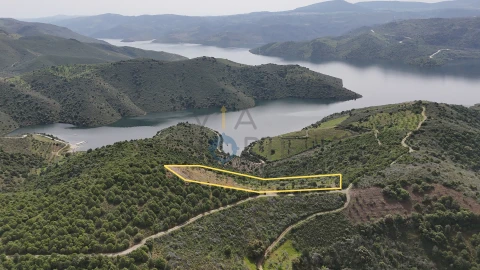 Terreno Agricola ou Rústico para Venda em Adeganha e Cardanha