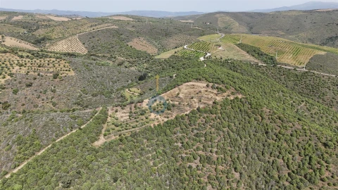 Terreno Agricola ou Rústico para Venda em Adeganha e Cardanha