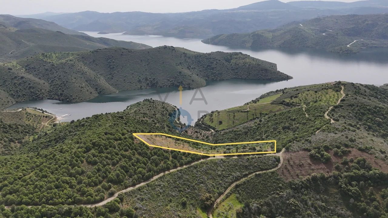 Terreno Agricola ou Rústico para Venda em Adeganha e Cardanha Foto 1