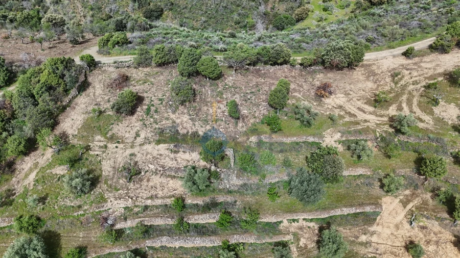 Terreno Agricola ou Rústico para Venda em Adeganha e Cardanha Foto 4