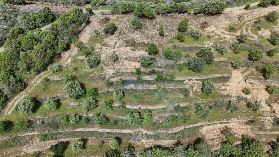 Terreno Agricola ou Rústico para Venda em Adeganha e Cardanha Foto 3