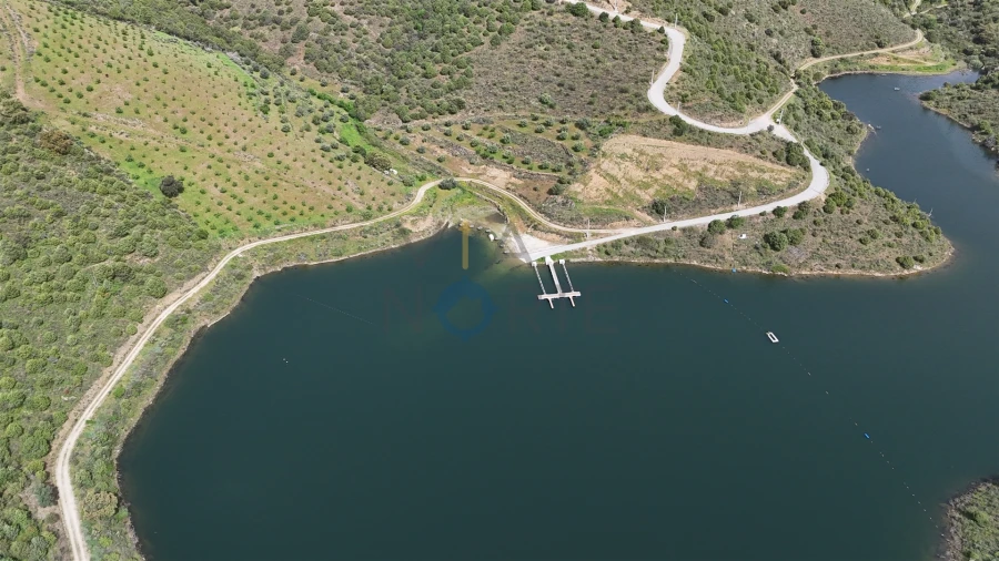 Terreno Agricola ou Rústico para Venda em Adeganha e Cardanha Foto 12
