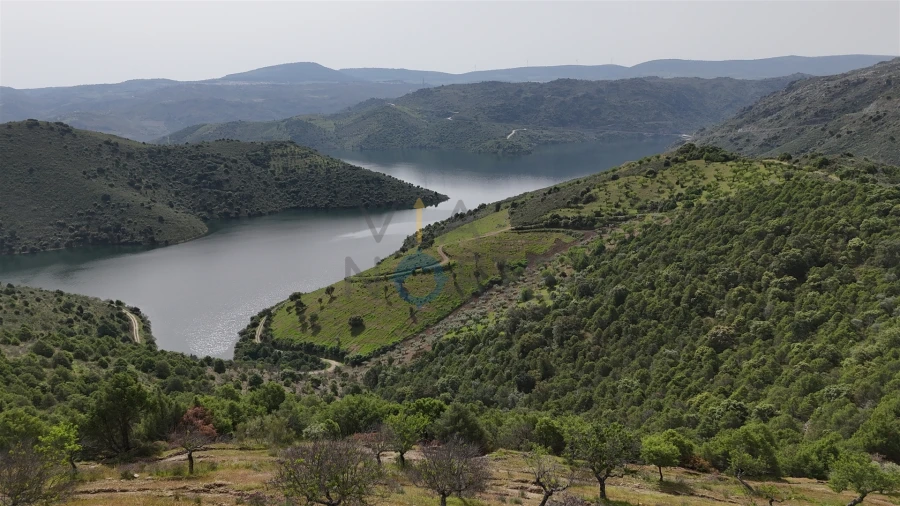 Terreno Agricola ou Rústico para Venda em Adeganha e Cardanha Foto 7