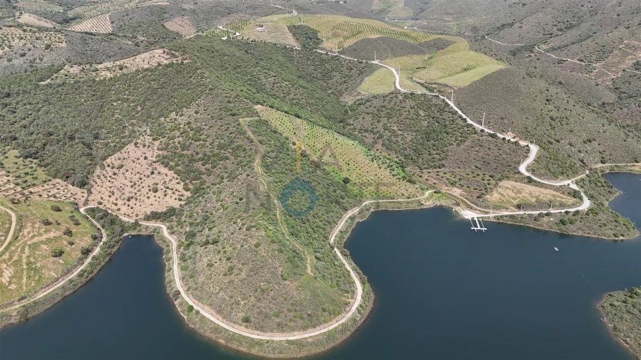 Terreno Agricola ou Rústico para Venda em Adeganha e Cardanha Foto 10