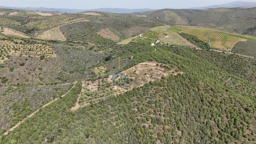 Terreno Agricola ou Rústico para Venda em Adeganha e Cardanha Foto 8