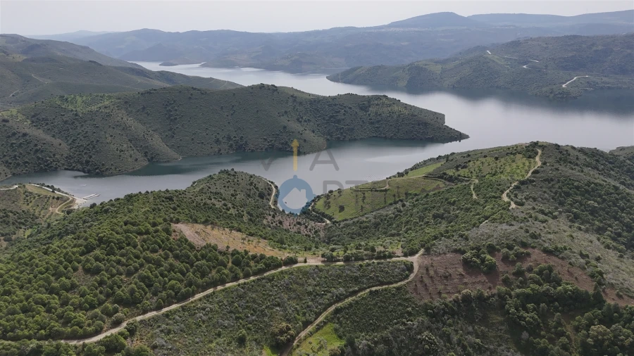 Terreno Agricola ou Rústico para Venda em Adeganha e Cardanha Foto 6