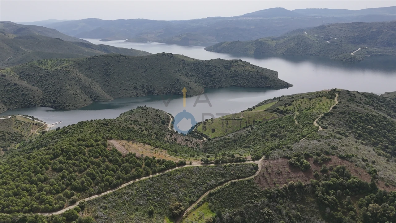 Terreno Agricola ou Rústico para Venda em Adeganha e Cardanha Foto 6