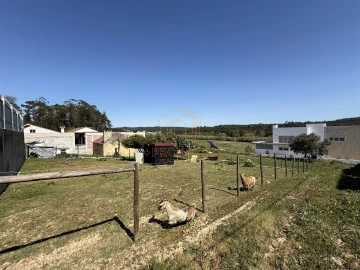 Terreno para Venda em Tavarede