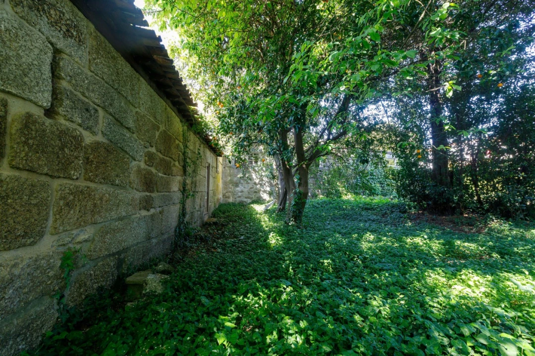 Prédio para Venda em Oliveira, São Paio e São Sebastião Foto 8
