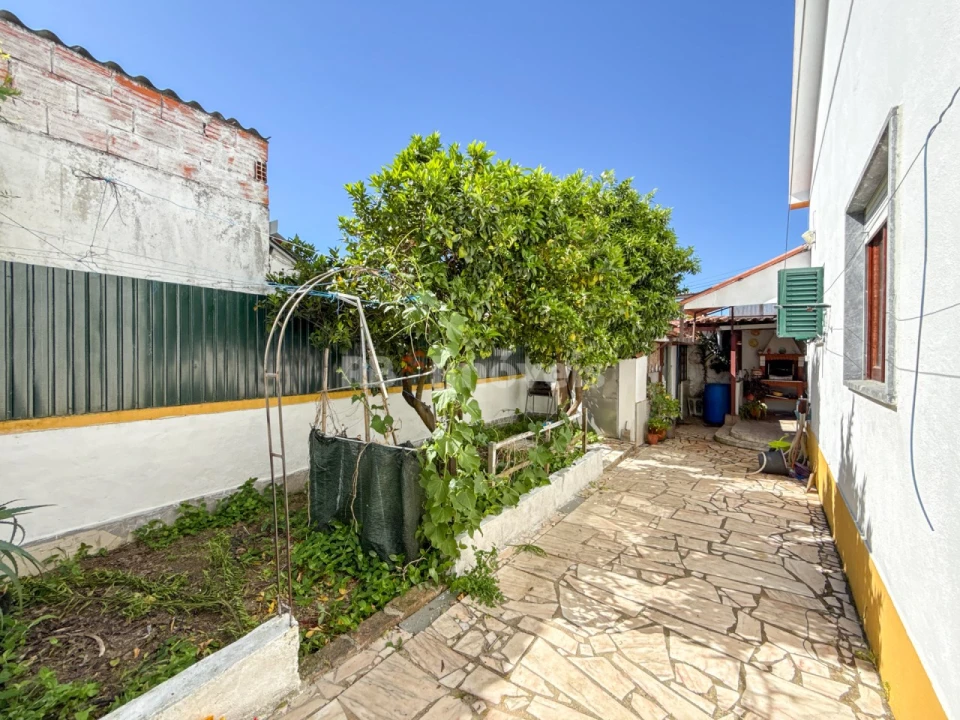 Moradia T3 para Venda em São Miguel do Rio Torto e Rossio Ao Sul do Tejo Foto 12