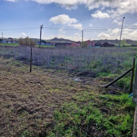 Terreno para Venda em Manique do Intendente, Vila Nova de São Pedro e Maçussa